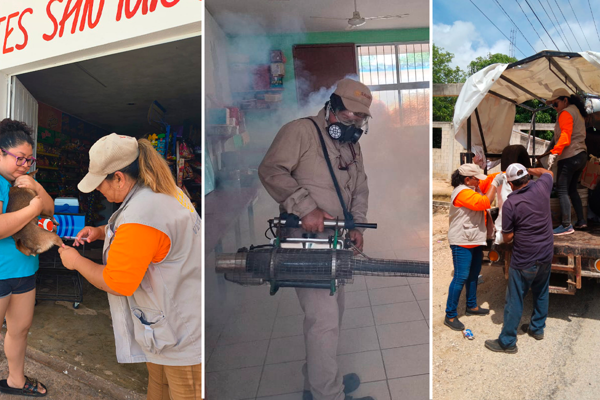A través de jornadas de termonebulización, control larvario y vacunación antirrábica gratuita, se ha trabajado de manera permanente en la prevención de enfermedades.