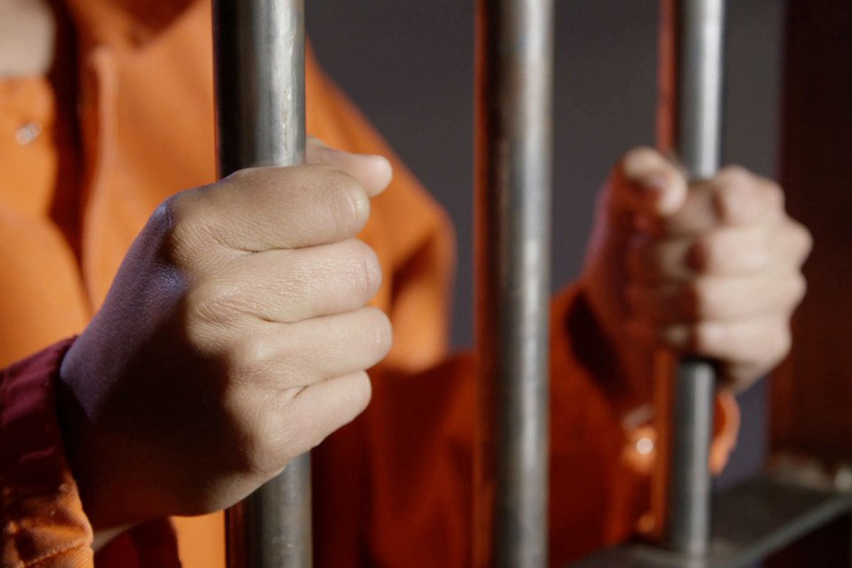 El imputado utilizó un objeto contundente para ejercer compresión en el tórax de los animales, ocasionándoles lesiones graves que derivaron en su muerte.